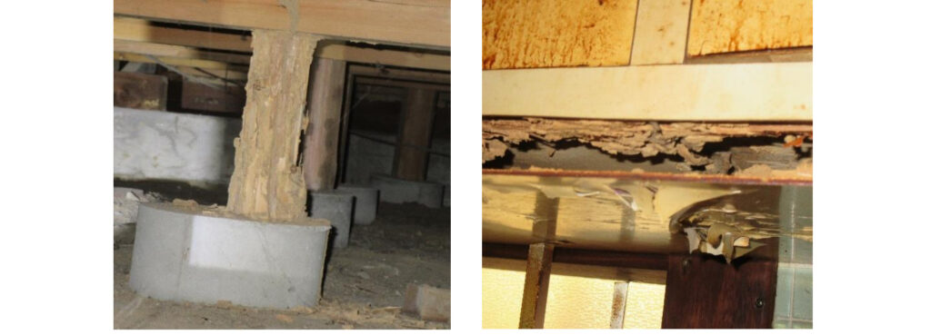 相続された実家を全面リフォーム?それとも建て替え? 自宅診断の活用事例紹介