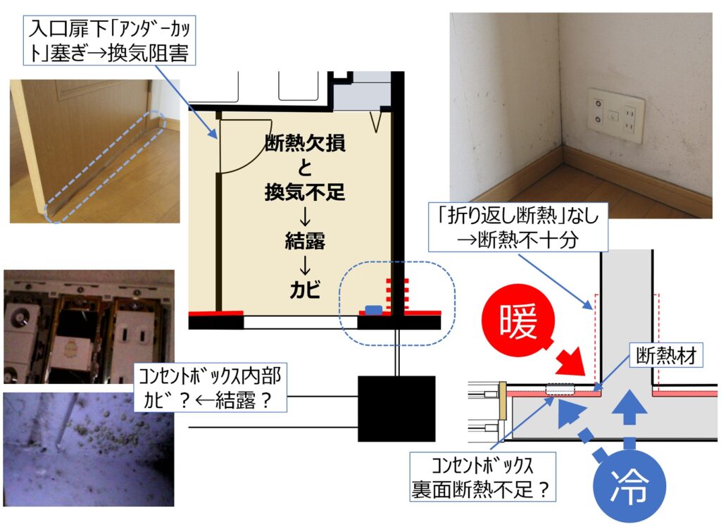 セカンドオピニオンとしてのホームインスペクション